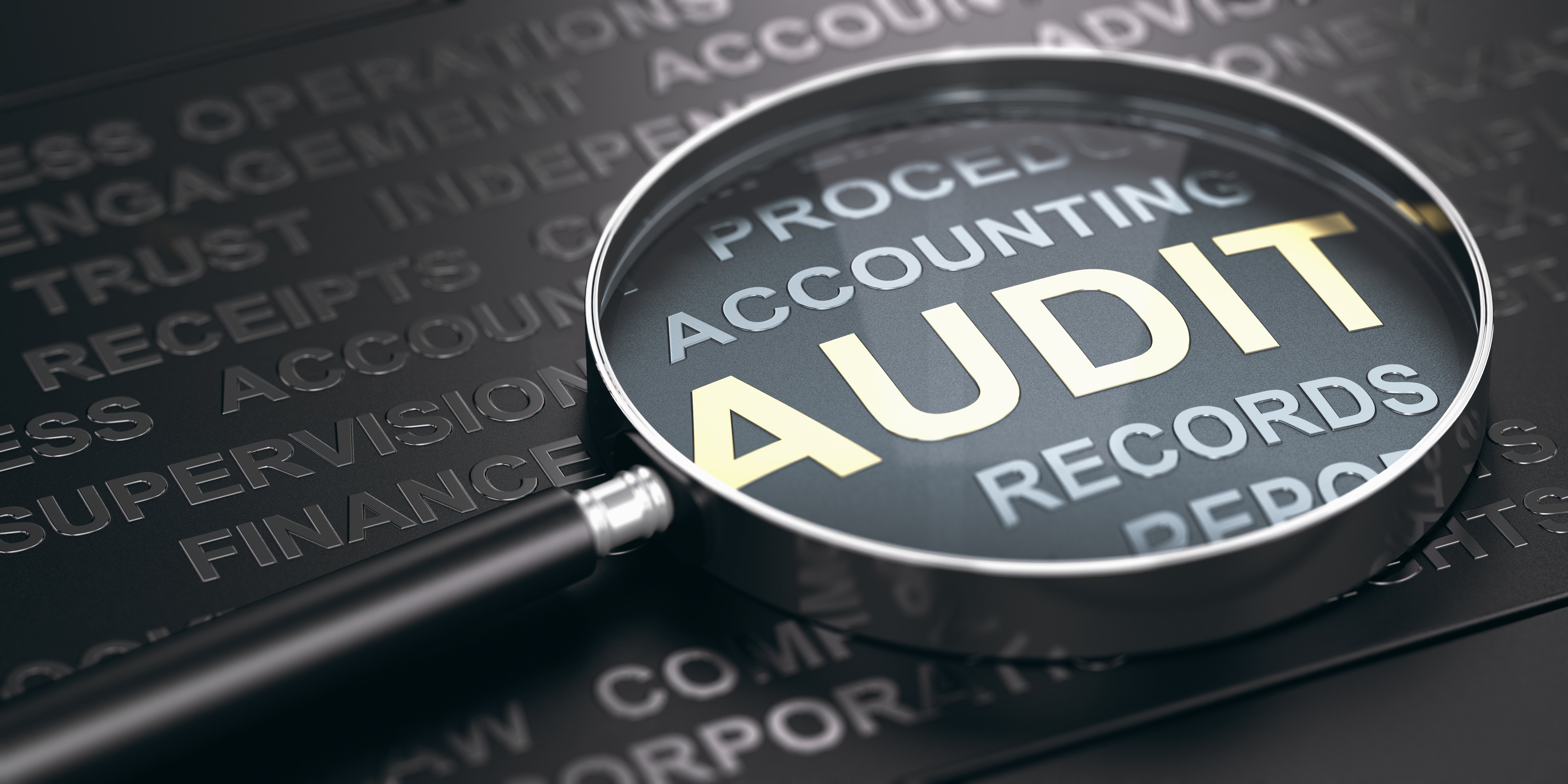 GP Fiscal Period Auditing – SY40100